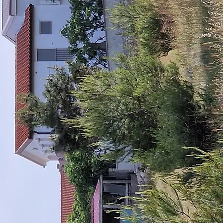 Gemuetliche Erdgeschosswohnung Ema Mit Terrasse By Interhome *