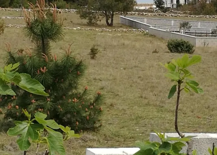 Gemuetliche Erdgeschosswohnung Ema Mit Terrasse By Interhome *