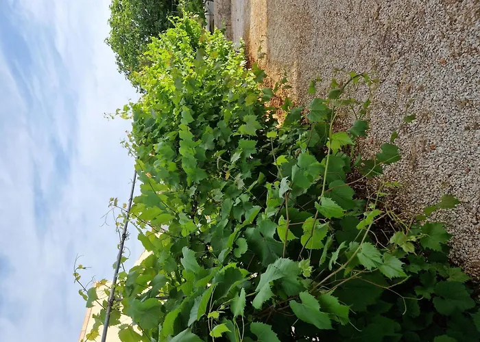 Gemuetliche Erdgeschosswohnung Ema Mit Terrasse By Interhome Apartmán Vir